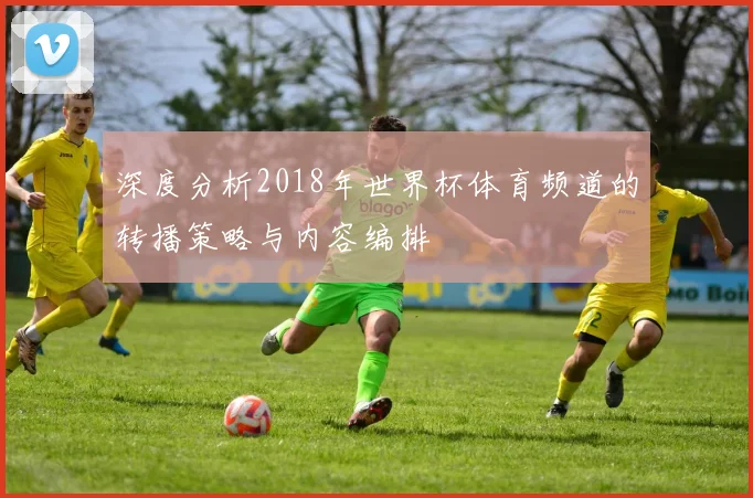 深度分析2018年世界杯体育频道的转播策略与内容编排