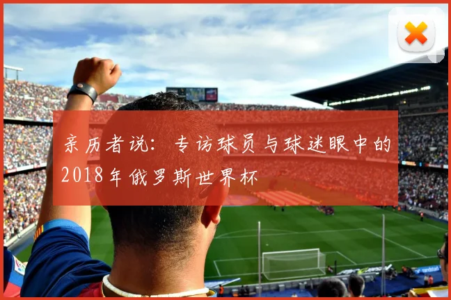 亲历者说：专访球员与球迷眼中的2018年俄罗斯世界杯
