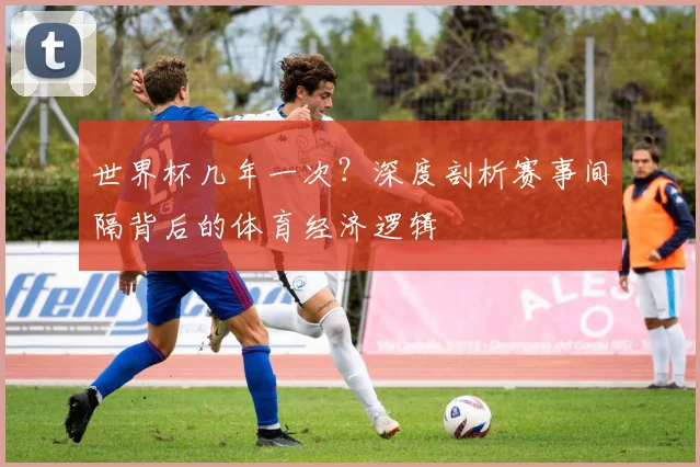 世界杯几年一次？深度剖析赛事间隔背后的体育经济逻辑