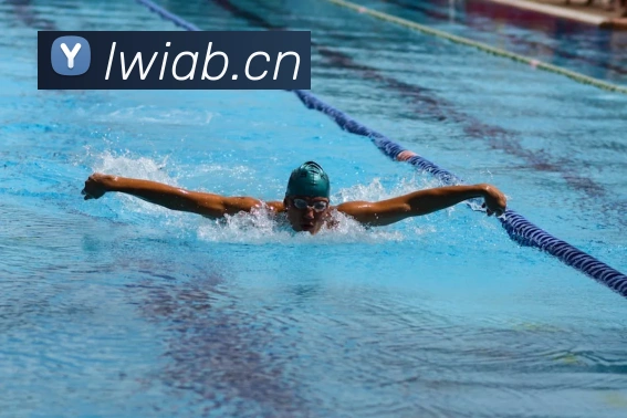 星空电竞官网APP 封面图